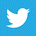 logo twitter cybertek