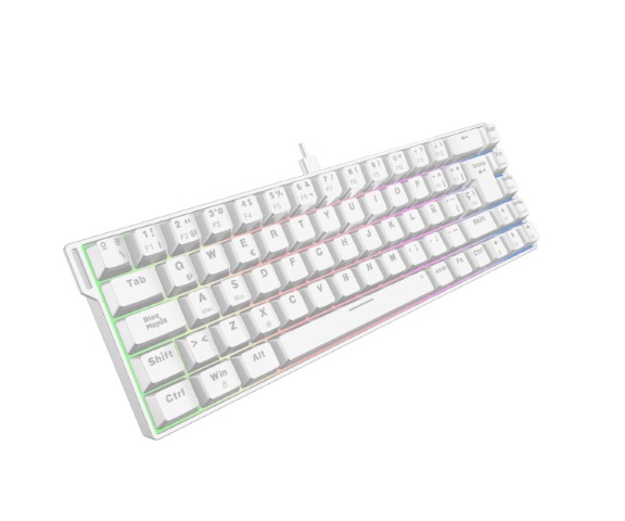 The G-LAB Keyz Titanium HE - Clavier PC The G-LAB - Cybertek.fr - 5