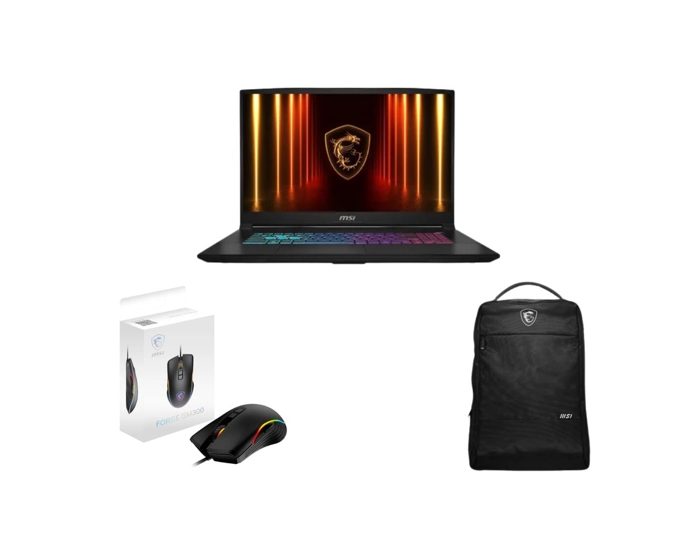 17.3"/i7-14650HX/5070/16/1T/W11 + sac + souris - 0
