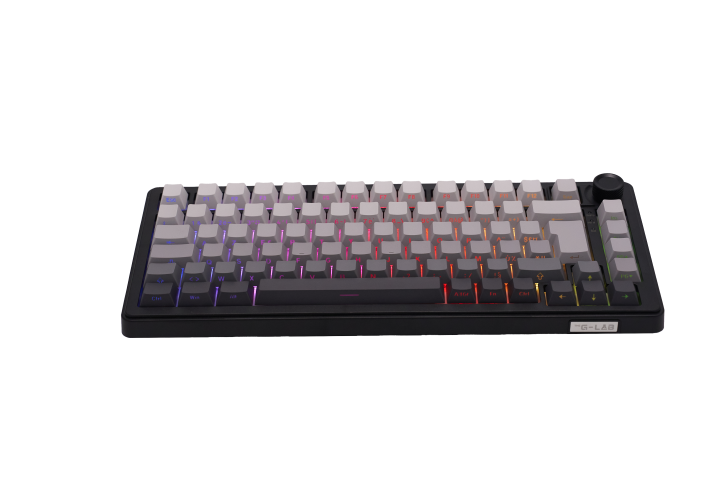 The G-LAB Keyz Elite 300 RGB Triple Mode - Clavier PC The G-LAB - 2
