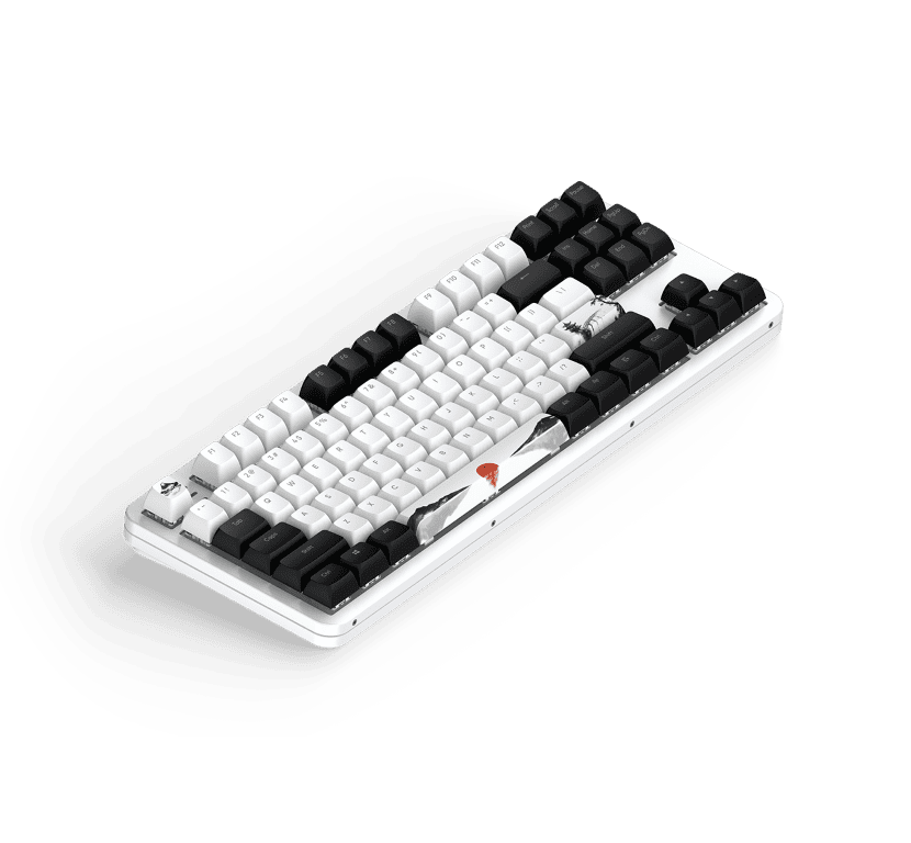 Dark Project Fuji 87 - Clavier PC Dark Project - Cybertek.fr - 3