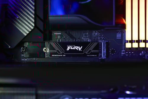 Kingston Fury Renegade G5  M.2 - Disque SSD Kingston - Cybertek.fr - 7