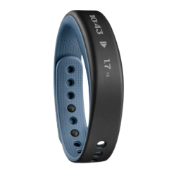 Garmin Objet connecté / Domotique MAGASIN EN LIGNE Cybertek