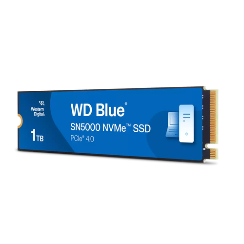 WD WDS100T4B0E#  M.2 - Disque SSD WD - Cybertek.fr - 1