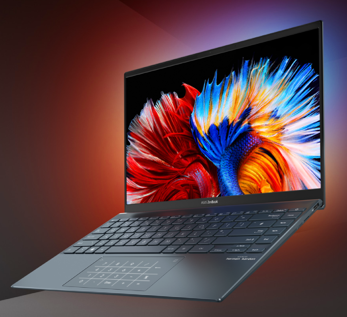 image produit Asus ZenBook 13 OLED UX325 Cybertek
