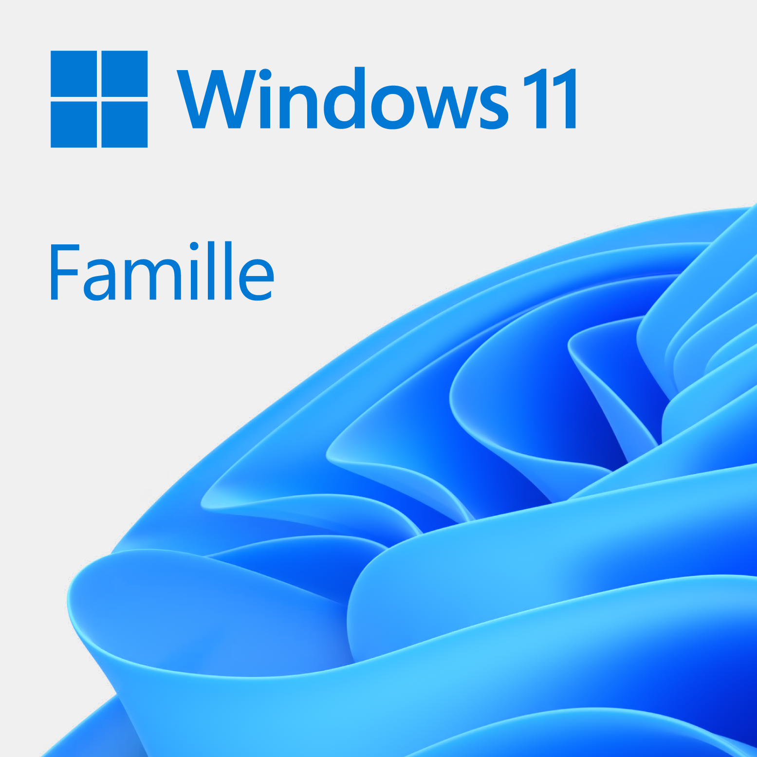 Logiciel système exploitation Microsoft Windows 11 Home 64Bits COEM