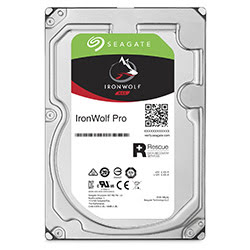 Seagate 6To SATA III 256Mo IronWolf Pro ST6000NE0023