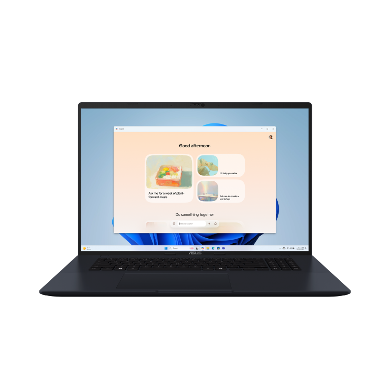 Asus 90NB15P1-M005P0 - PC portable Asus - Cybertek.fr - 1