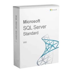Microsoft Logiciel système exploitation MAGASIN EN LIGNE Cybertek