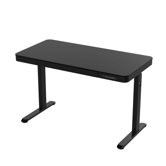 REKT RGo Desk Office 120 (RGODKOFBK) - Achat / Vente Bureau sur Cybertek.fr - 5