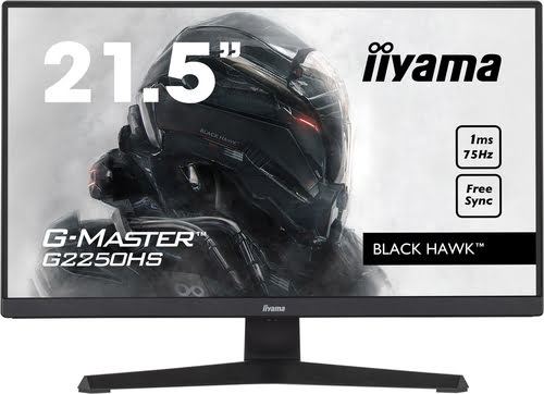 Iiyama 22"  G2250HS-B1  - Ecran PC Iiyama - Cybertek.fr - 0