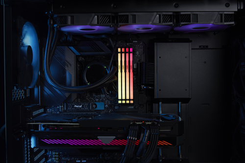 Kingston  2x8 RGB 5600 - Mémoire PC Kingston sur Cybertek.fr - 6