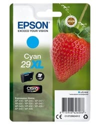 Epson Consommable imprimante