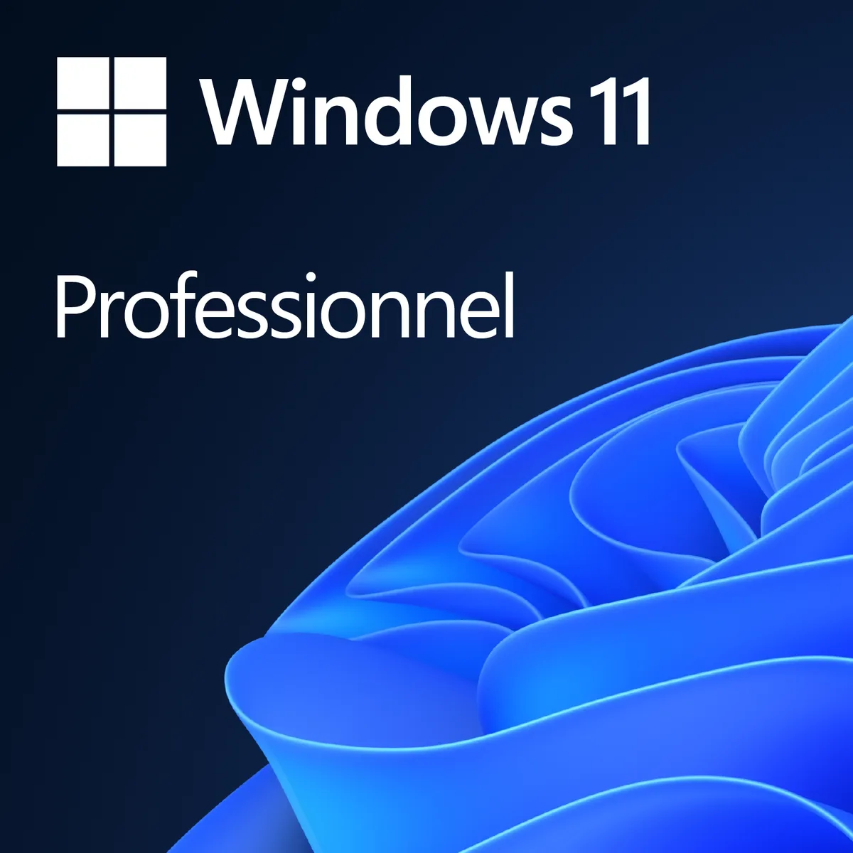 Microsoft Windows 11 PRO 64Bits, vue 1