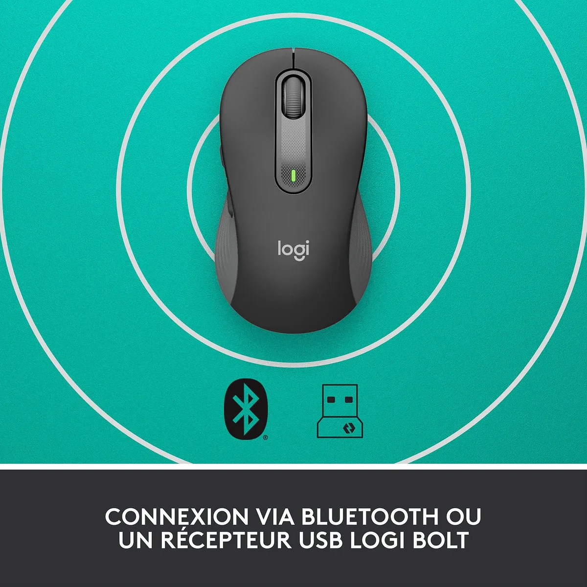 Logitech Signature M650 L - Sans-Fil - Graphite, vue 2