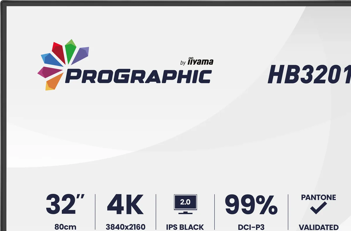 Iiyama ProGraphic - 32" 4K IPS Black 99% DCI P3 USB-C Dock Certifié Pantone, vue 5