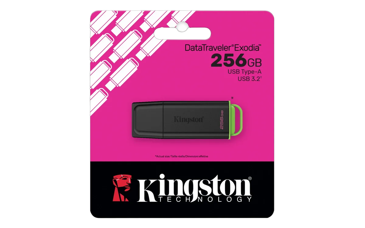 Kingston DataTraveler Exodia G2 256GB Black/Green, vue 2