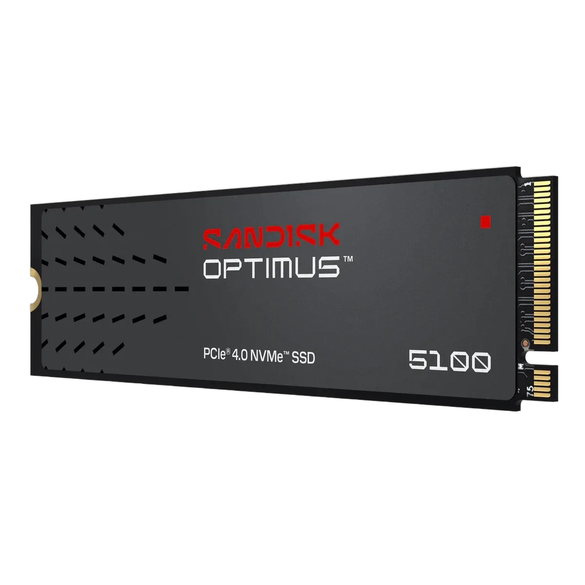 Sandisk Optimus 5100 4To M.2, vue 3