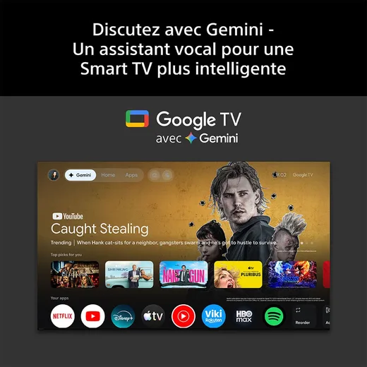 Sony Bravia 6 K48A65PB - 48" OLED 4K 120Hz Google TV Wifi Bluetooth HDR10