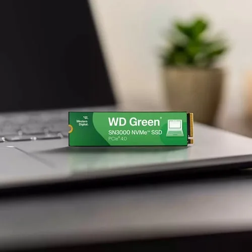 WD Green SN3000 500Go NVMe Gen4, vue 5