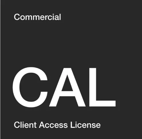 Microsoft Windows Server 2025 CAL USER - 1 Licence OEM
