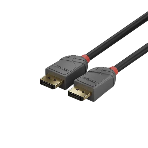 Lindy Câble Line DisplayPort 1.4 mâle/mâle - 1m, vue 5