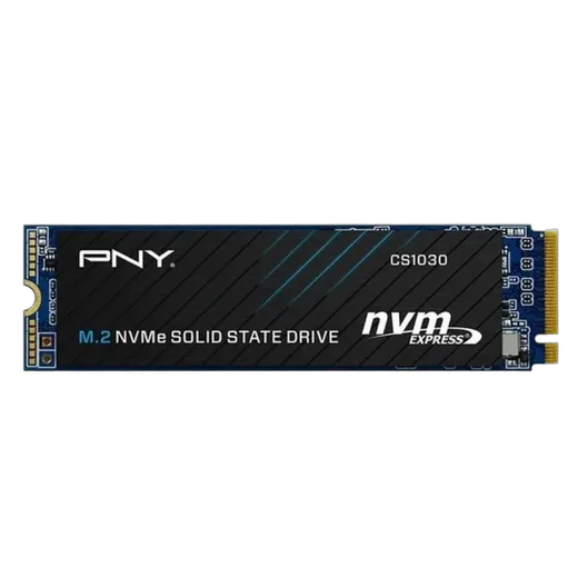 250Go M.2 NVMe Gen3 - CS1030 
