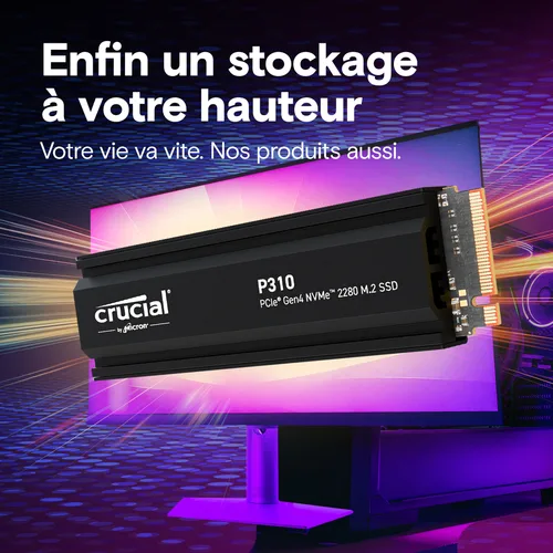Crucial P310 CT2000P310SSD5 - 2To NVMe M.2, vue 2