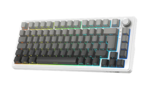 The G-LAB Keyz Elite 300 GRW 75% - Mécanique - Sans-Fil - RGB - Gris/Blanc, vue 9