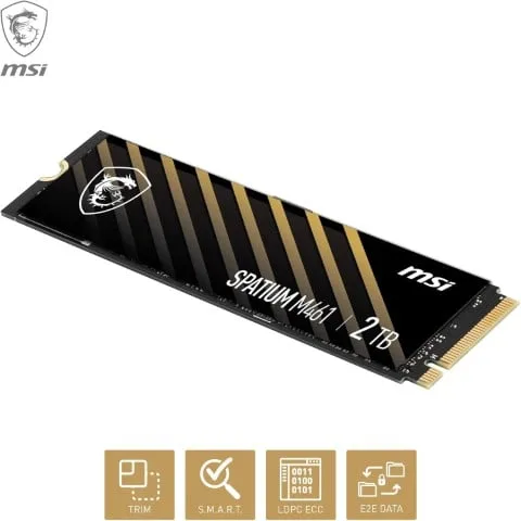 MSI SPATIUM M461 2To M.2, vue 6