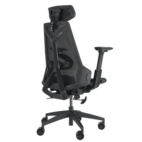 Asus ROG Destrier Core, vue 5