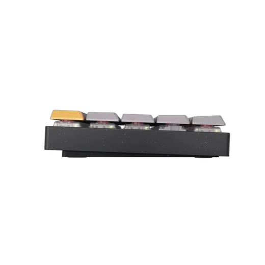 Cherry MX-LP 2.1 Compact 65% - Mécanique - Sans-Fil - RGB - Noir, vue 2