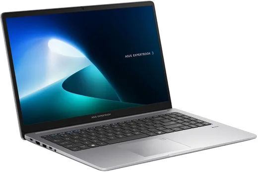 Asus ExpertBook P1 - 15.6" FHD Core 3 100U 16Go 256Go W11P