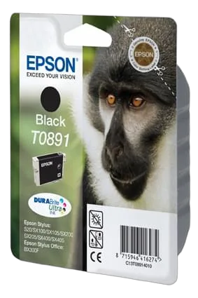 Epson Cartouche T0891 Noire, vue 1