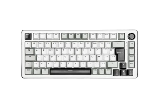 The G-LAB Keyz Elite 300 WG 75% - Mécanique - Sans-Fil - RGB - Blanc/Gris, vue 8