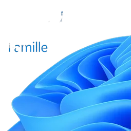 Logiciel système exploitation