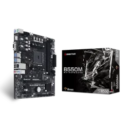 Biostar B550MH