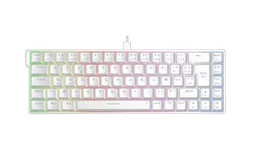 The G-LAB Keyz Titanium HE 65% - Magnétique - Filaire - RGB - Blanc
