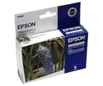 Epson Cartouche T0485 Stylus Photo R200/300 Cyan Clair, miniature 1