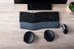 Cherry Ergo - Noir, miniature 11