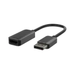 Belkin Adaptateur DP 1.2/HDMI 2.0 mâle/femelle - 22.05cm, miniature 1