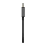 Belkin Adaptateur DP 1.2/HDMI 2.0 mâle/femelle - 22.05cm, miniature 5