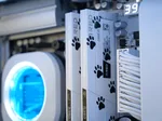EPIC - 9800X3D/32go/1To/5080 WC, miniature 6