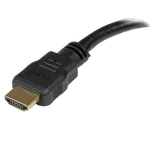 StarTech Adaptateur HDMI 1.4/DVI-D mâle/femelle - 20cm - Noir, miniature 2