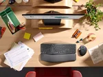 Logitech K860 for Business - Membrane - Sans-Fil - Graphite, miniature 10