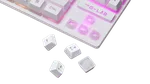 The G-LAB Keyz Caesium TKL - Membrane - Filaire - RGB - Blanc, miniature 3