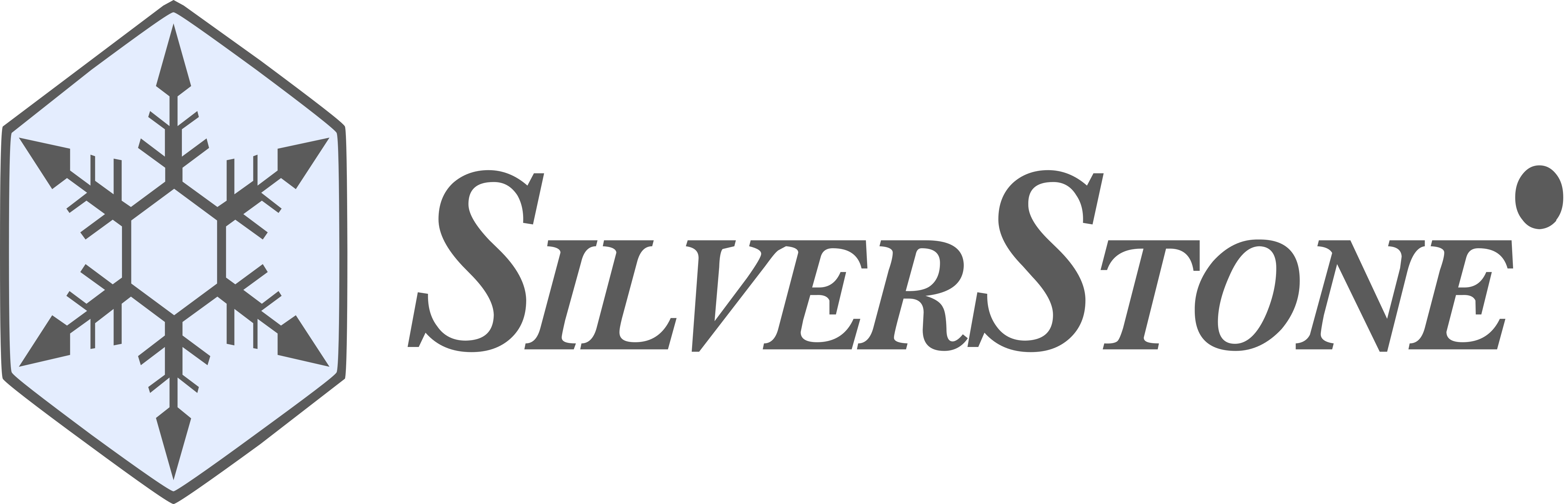 Logo Silverstone